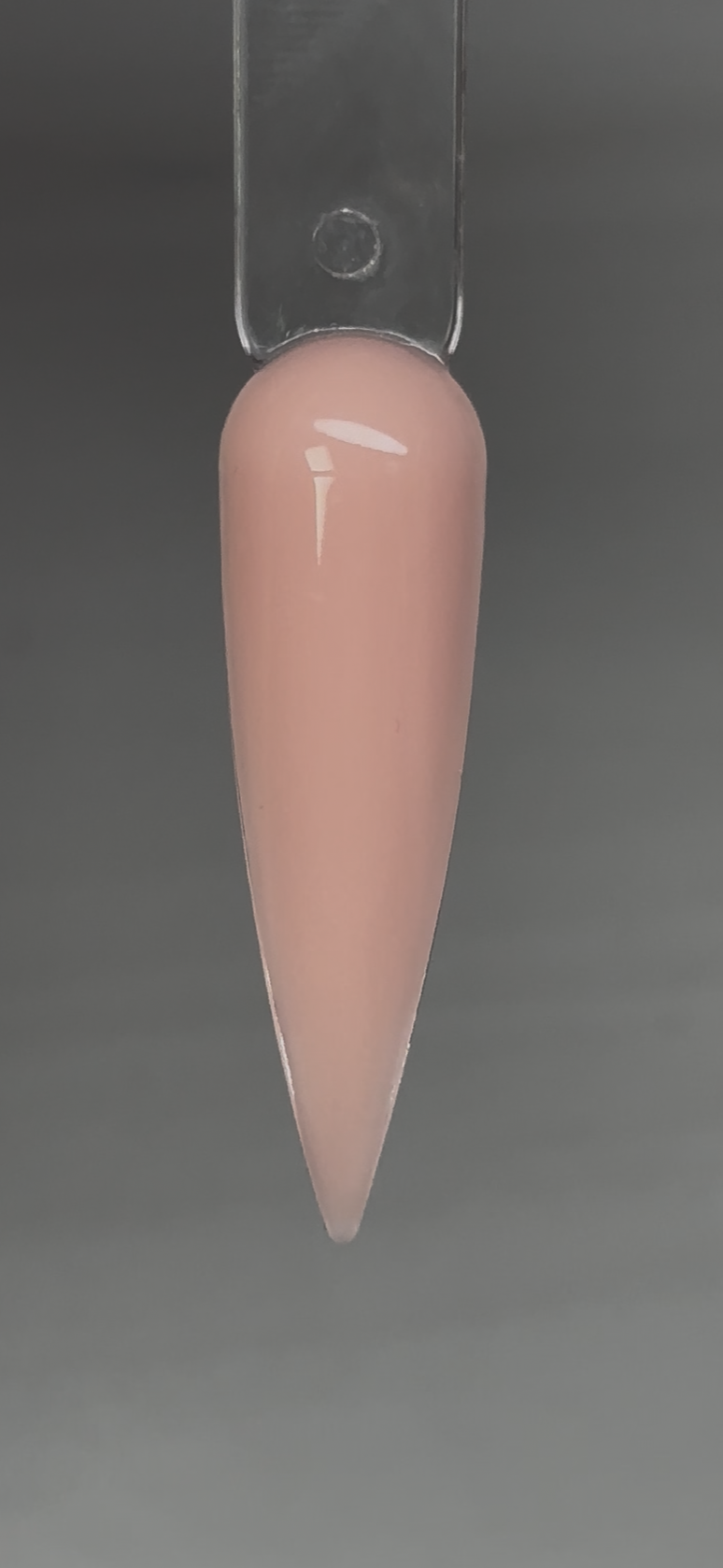 POLYGEL- cheese cake